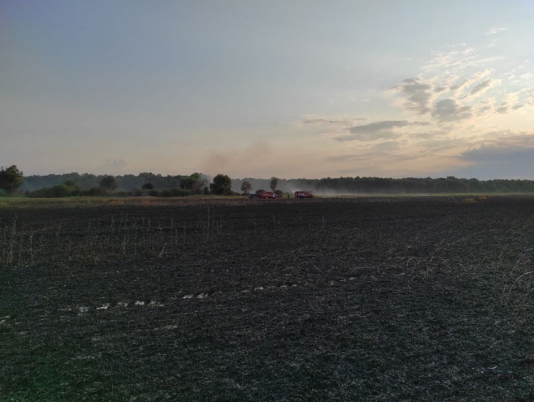 Пожежа на пшеничному полі на Чернігівщині 