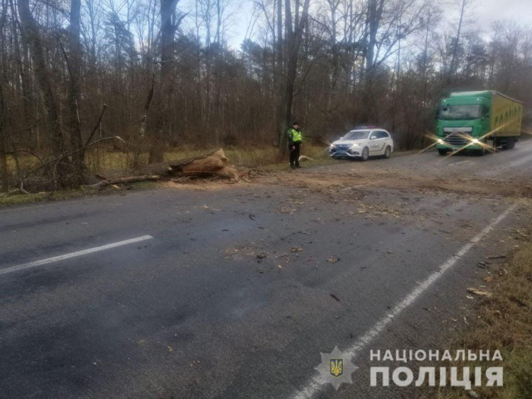 У Чернігівській області шторм заблокував автотраси